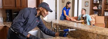 Reliable Guntersville, AL Pest control Solutions